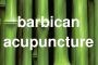 Barbican Acupuncture 722200 Image 4
